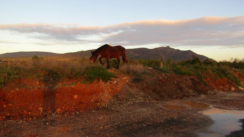 0 Bedroom Property for Sale in Fisherhaven Western Cape